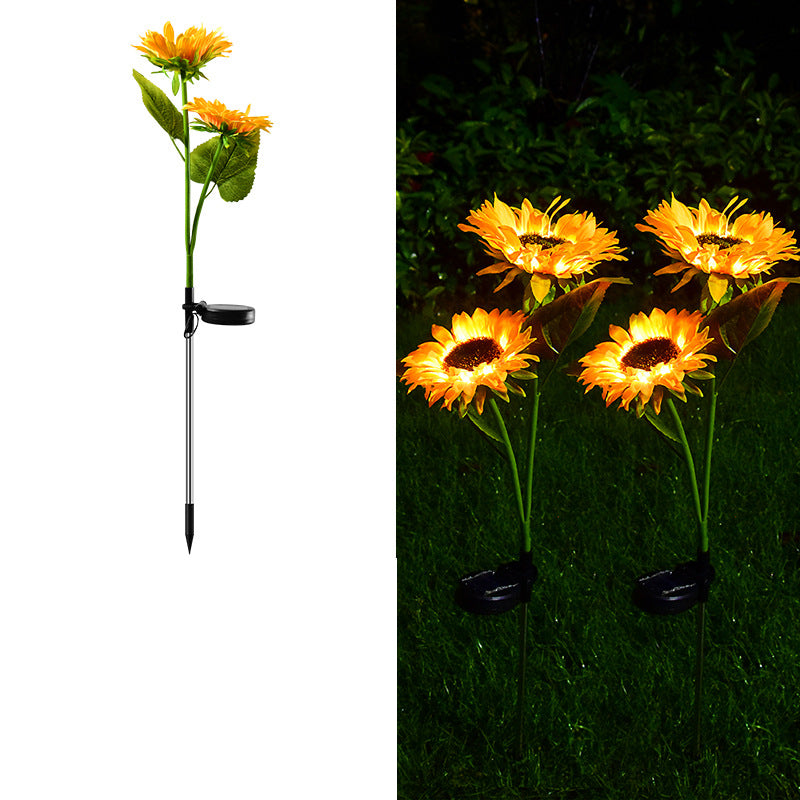 Sonblom Sonkrag Tuinlig