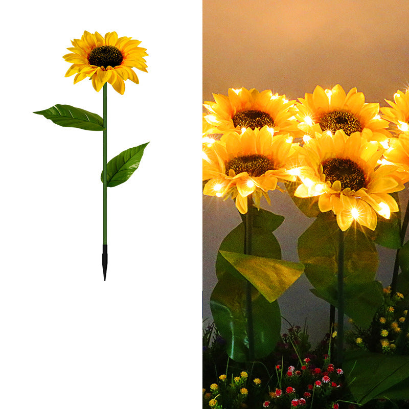 Sonneblom Sonkrag-tuinlig