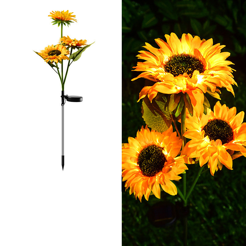 Sonneblom Sonkrag-tuinlig